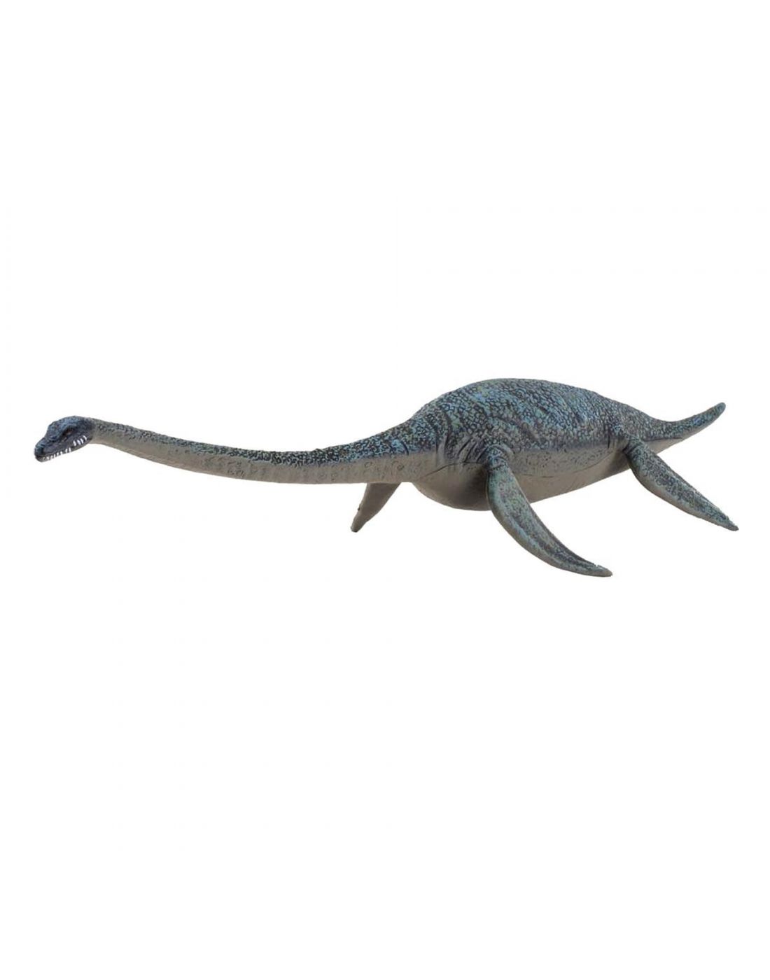 Imaginarium  Dinosaur Hydrotherosaurus
