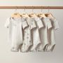 Mamas & Papas Short Sleeve Cotton Bodysuits 5 Pack