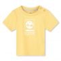 Timberlnad Baby Boys T-shirt