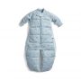 ErgoPouch Sleep Suit Dragonflies Long Sleeve 2.5 Tog  3-12m