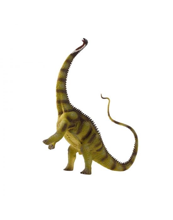 Imaginarium Dinosaur  Diplodocus