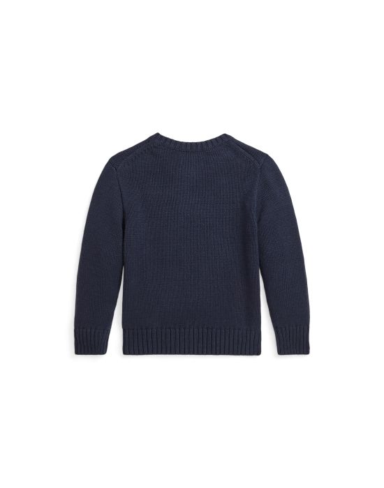 Polo Ralph Lauren Kids Blouse Knitwear