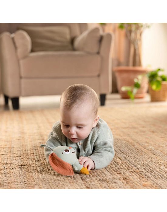 Βρεφικό Παιχνίδι Smart Bunny Garden of Adventures Tiny Love